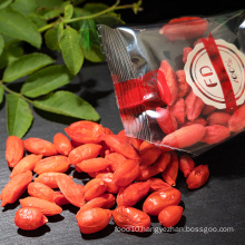 Chinese Ningxia Goji Berries Freeze Dried Wolfberry